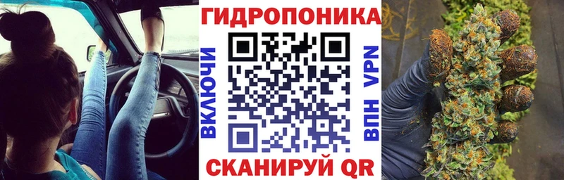 Виды наркотиков купить Саянск ГАШИШ  Бошки Шишки  Альфа ПВП  Меф 